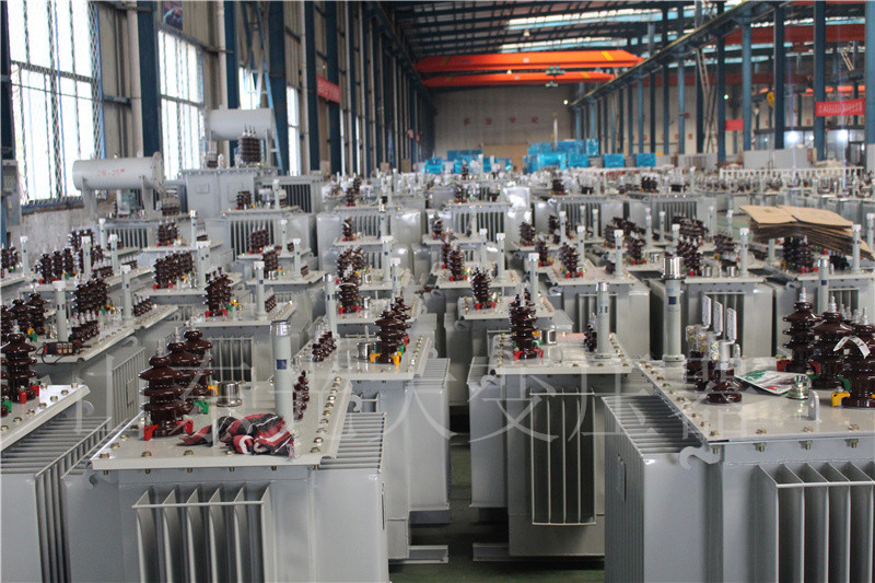 襄城S22-800KVA/10KV